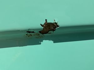 Gel coat damage repair by GS Composites Marine Repairs